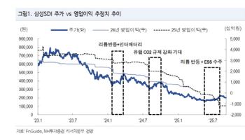 삼성SDI, 턴어라운드 시점 지연 예상…목표가 4%↓-NH