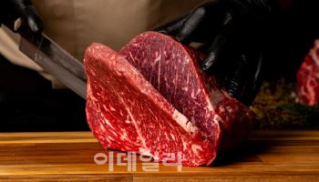 이마트, ‘적자전환’ 오케이미트 콜옵션 행사 여부 주목