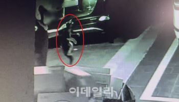 헬멧 쓴 괴한, 길고양이 집어들더니 `퍽`…끊이지 않는 동물학대