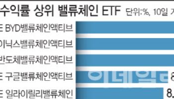 美→中으로 다변화…밸류체인 ETF, 올 들어 24%↑