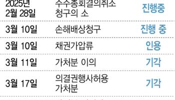고려아연 사태 1년 지났지만…사모펀드 규제는 여전히 '구멍'
