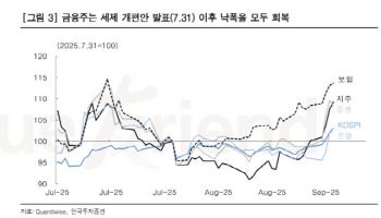 "자본시장 정상화, ‘선별적 고배당’ 전략 부상"
