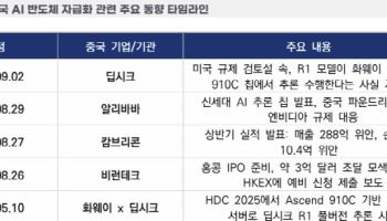 중국, AI 반도체 자립 가속…설계부터 응용까지 독자 생태계