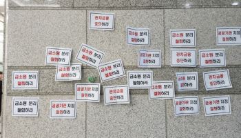 금감원 "영국도 금융감독 기구 분리 실패"…단순화가 효율적