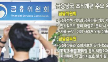 정책·감독·소비자보호 분리…금융당국도 갈피 못잡아