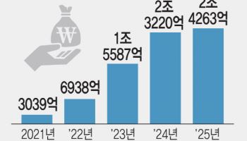 2금융권 사잇돌 1년간 1000억 '찔끔' 증가…규제강화에 저신용자 대출 가뭄
