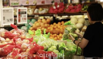 추석 성수품 ‘반값’에 산다…61조 대출·보증은 만기 연장