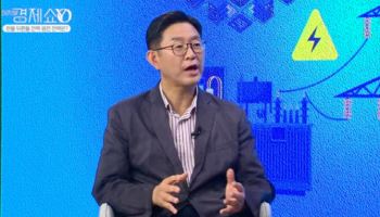 [이지혜경제쇼YO]유승훈 교수 “AI 전력난, 해법은 일본 모델”