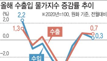유가 내렸지만 환율 상승 압력 확대…수입물가, 2개월 연속 상승