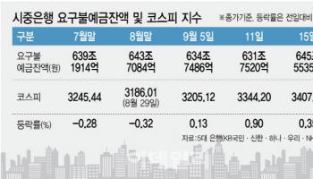 韓·美 '불장'에…요구불예금, 2주새 12조 썰물