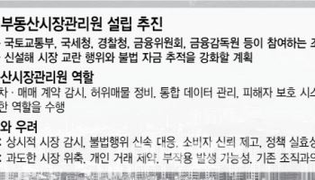 “빅브라더”vs“시장 건전화”…부동산 감시기구에 ‘갑론을박’