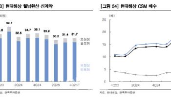 현대해상, 체질 개선 본격화 기대-한국