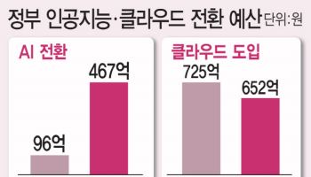 AI 키울 텃밭인데…클라우드 예산 증액 필요