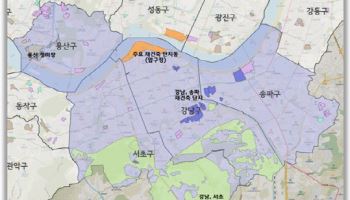 강남·용산구 토허제, 내년 말까지 연장…"주거안정 위해 불가피"