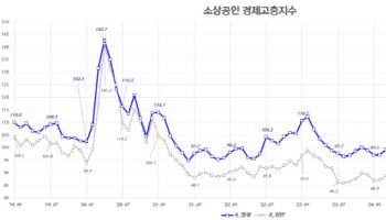 신한카드, 소상공인 소비쿠폰 특수…5억원 미만 연 매출 6.5%↑