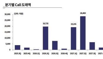 롯데손보 여파…“보험 업계 킥스·자본 확충 계획 점검해야”