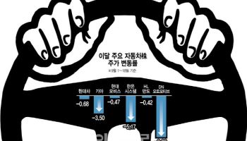국내 증시 랠리에도 역주행…자동차株 반전 모멘텀은?
