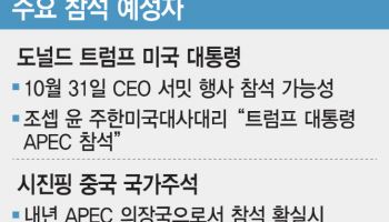 AI칩 'APEC 글로벌 협업' 줄잇나…트럼프·시진핑 참석 무게