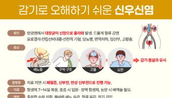 방치하면 패혈증까지, 숨은 질환 '신우신염' 경고
