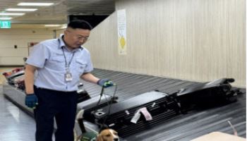 추석 앞두고 수입 농축산물 검역 강화…불법 유통 단속