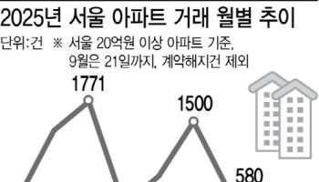 20억 아파트 거래 급증에 제동…정부, 한강 벨트 집값 정조준