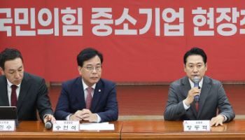 장동혁 “유엔 총회서 李-트럼프 만남 없어…정부 대체 뭐하나”