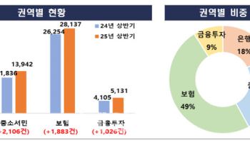 보험·중소서민 민원 급증…은행은 ELS 기저효과로 급감