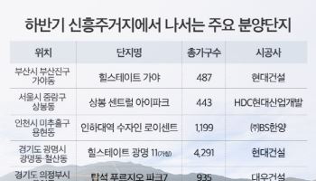 하반기 분양시장도 신흥주거지 단지가 주도할까