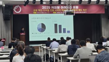 “캐피탈사에 보험판매·스테이블코인 발행 허용해 생산적 금융”