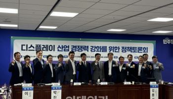 中 추격에 '벼랑끝' K디스플레이…"세액공제 제도 개선해야"