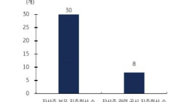 “지주사 ‘자사주 대응’ 활발해질 것…소각·임직원 보상 기업 주가 긍정적”