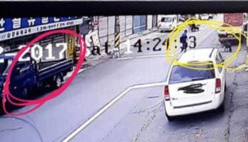 "도망갔다"더니 남의 반려견 '개소주' 만든 남성, 처벌은 고작 [그해 오늘]