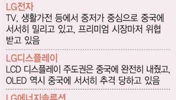 LG 구광모 "AX 전략 몰입하자"…中 제조업 쓰나미 위기감(종합)