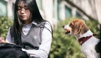 “감정 최고조일 때, 다 들어줄게” 도심에 SOS마음의전화 생긴다