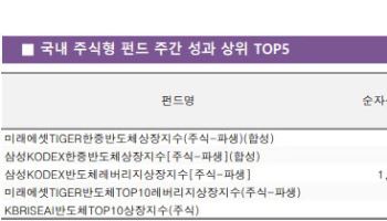 삼전·하닉이 이끈 반도체주 랠리…ETF 수익률 뛰었다