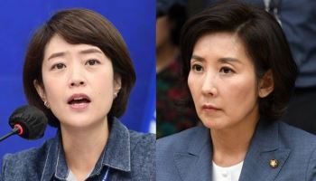 "전산망 훼손, 중국 무비자 입국 미뤄야" vs "극우의 전형"