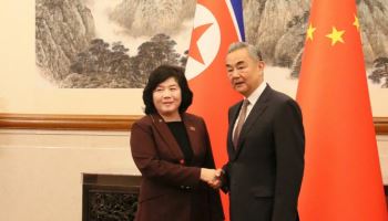 북중 외교수장 회담 "완전한 견해일치"…시진핑 방북 논의 가능성