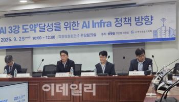 "전산망 마비 사태 없게…AI 인프라 데이터센터 투자 촉진해야"