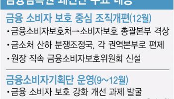 반성문 쓴 금감원 "금소처 없애고 '소비자보호총괄본부' 격상"(종합)