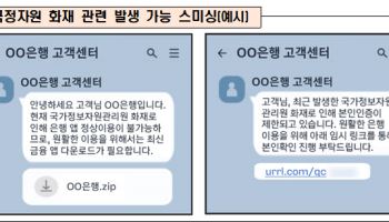 행정시스템 마비에 금융정보 탈취 기승…"즉시 진행 중단" 당부