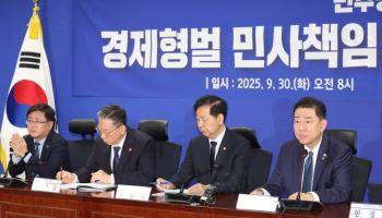 당정 "배임죄 폐지하고 대체입법"…野 "결국 이재명 구하기"(종합)
