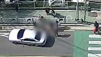 "식물인간 만들자"…내연 남녀가 벌인 '청부살인'의 전말[그해 오늘]