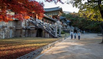 전국 114곳 사찰에서 힐링을…'행복 두배 템플스테이'