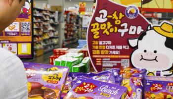 롯데웰푸드, 가을 꿀맛 담은 '고창 고구마 시리즈' 선보여…시즌 한정판