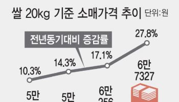 1년새 쌀값 급등락…정부 통제식 쌀 시장관리 한계 보여줘