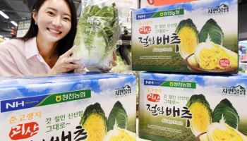 홈플러스, 10일부터 절임배추 사전예약 접수