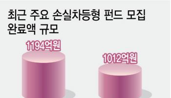 “급등 뒤엔 급락 공포”…진화하는 '손실 방어' 펀드·ETF[돈창]
