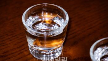 음주 측정서 '면허 취소 수치' 나왔는데…2심서 무죄 판결 이유는