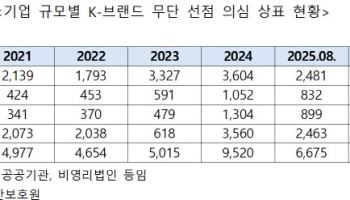 K브랜드, 해외서 3만건 이상 뺏겨