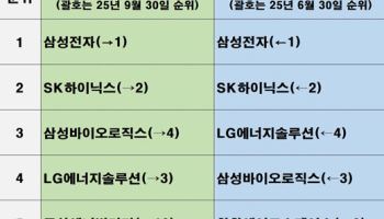 삼성전자 시총 석달새 142조↑…한화에어로 '톱5' 진입